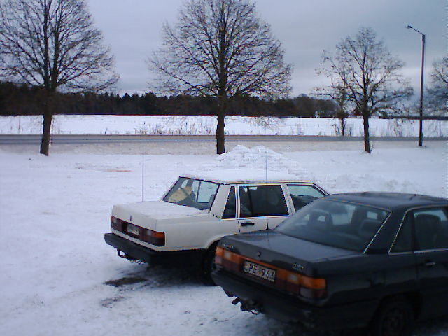 Bild 3 (4).jpg